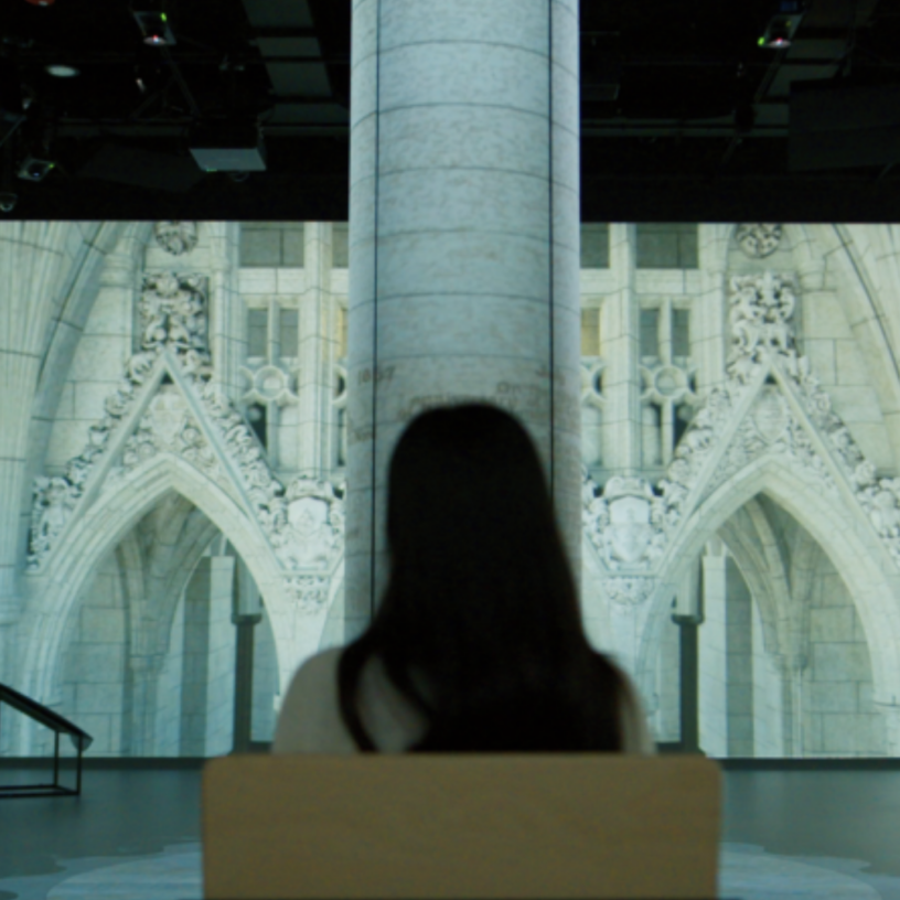 Parliamentary experience