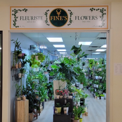 Fines Flowers 180 Kent Street 3